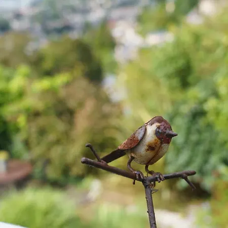 Seine En Vue Standing, Panorama Sur Rouen *