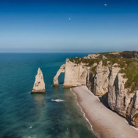 Seine En Vue Standing, Panorama Sur Rouen *